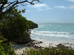 Tropicalglen Beach
